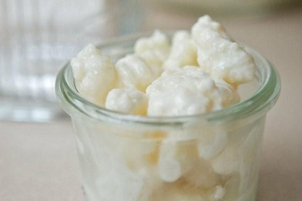 Kefir: cos'è, benefici e controindicazioni