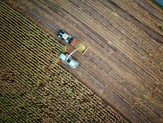 Agricoltura: in Irlanda emissioni ridotte del 25% entro il 2030