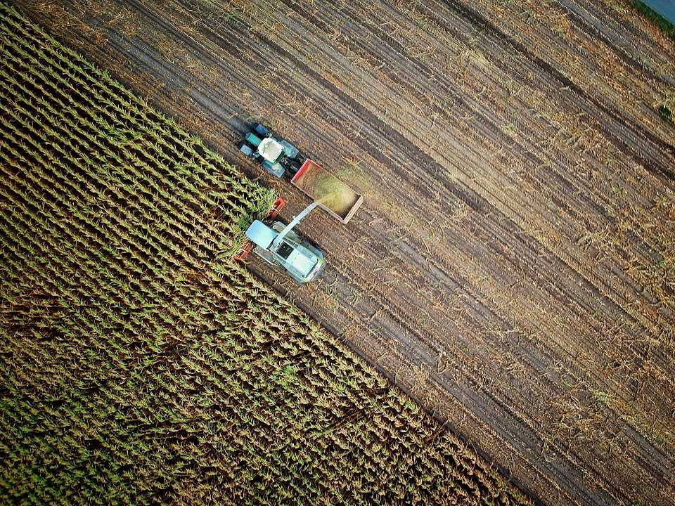 Agricoltura, Italia al terzo posto per il costo della terra in Europa