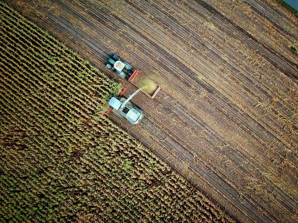 Agricoltura: negli ultimi 25 anni l’Italia ha perso più di un terreno agricolo su quattro (28%)
