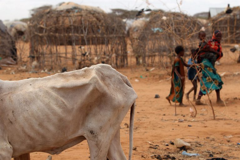 Siccità, in Somalia 2,3 milioni di persone sono senza cibo e acqua potabile