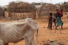 Somalia, non c’è tregua dalla siccità: “La carestia è alle porte”