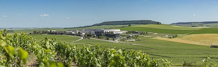 Champagne: nasce un nuovo gruppo da 300milioni di euro di fatturato