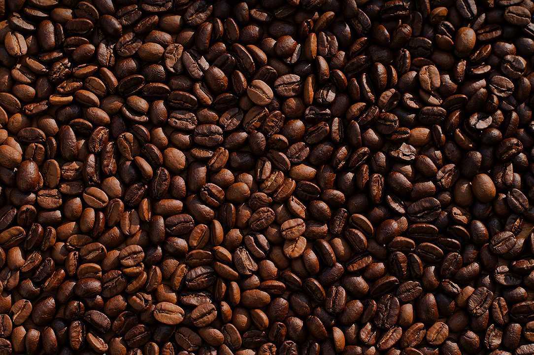 Caffè: il cambiamento climatico mette a rischio le coltivazioni
