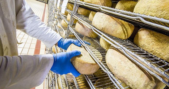 Pecorino Romano, il Consorzio stima un fatturato di 320 milioni per il 2022