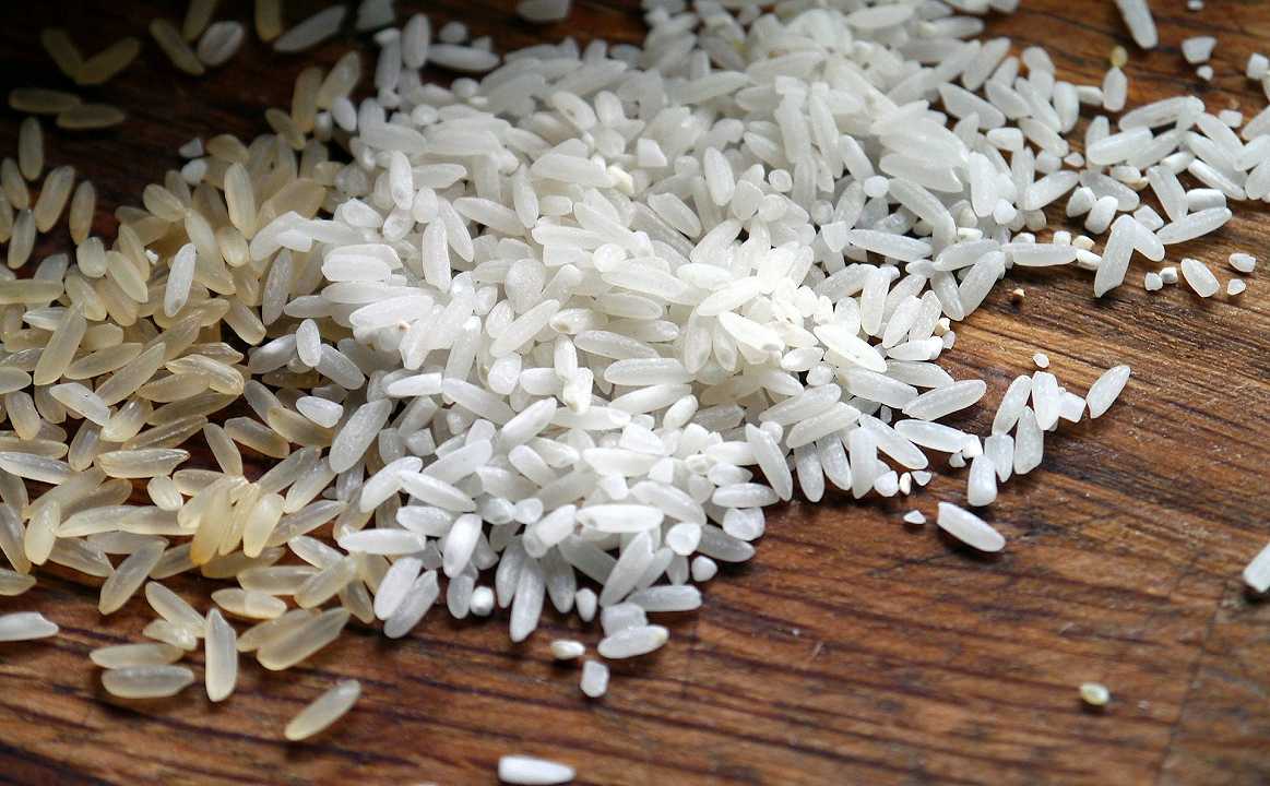 Siccità, colpito anche il riso: si stima un calo produttivo del 30%
