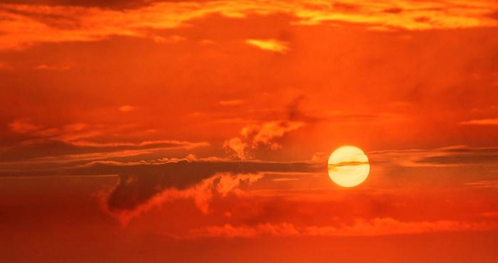 Svezia: il cambiamento climatico aumenta i patogeni alimentari, dice uno studio