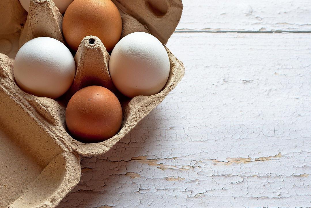 Influenza aviaria: in UK non si possono più acquistare uova di galline ruspanti