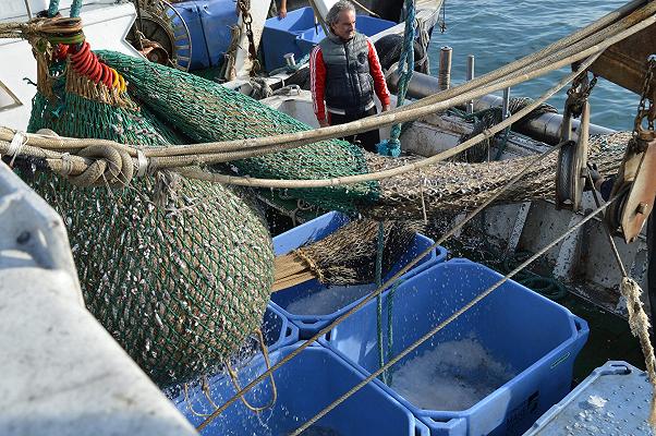 Pesca, nel 2021 la Guardia costiera scopre 4.448 illeciti: sequestrate 481 tonnellate di prodotto
