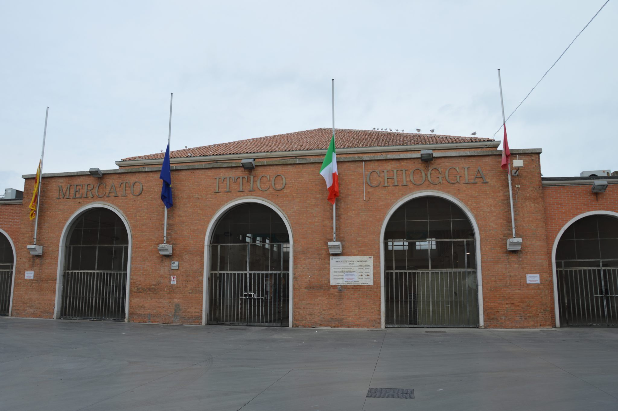 Pesca di Chioggia; mercato ittico