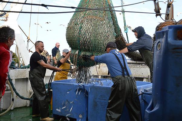 Roma, centinaia di pescatori in piazza contro il caro gasolio