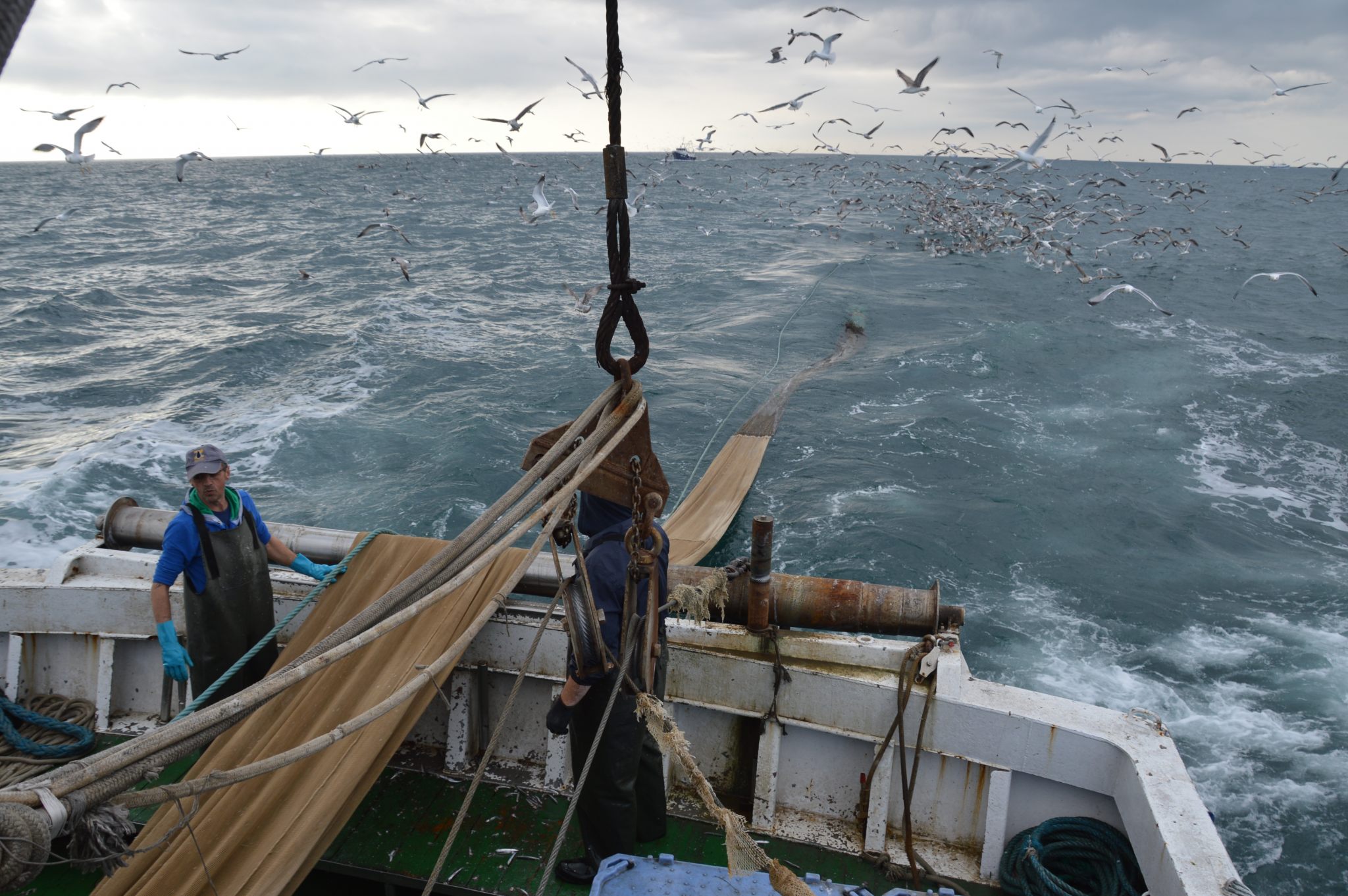 Pesca di Chioggia; peschereccio