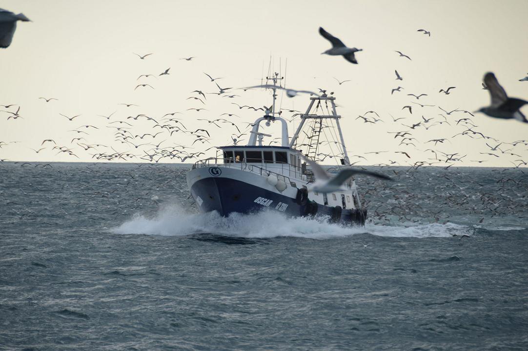 La pesca a Chioggia: cos’è, i metodi e com’è la vita a bordo di un peschereccio