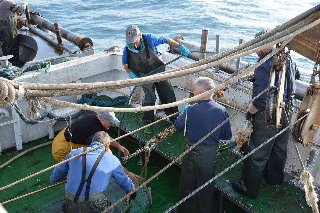 Pesca sostenibile: i pesci devono riprodursi prima di essere catturati, parola della Fao