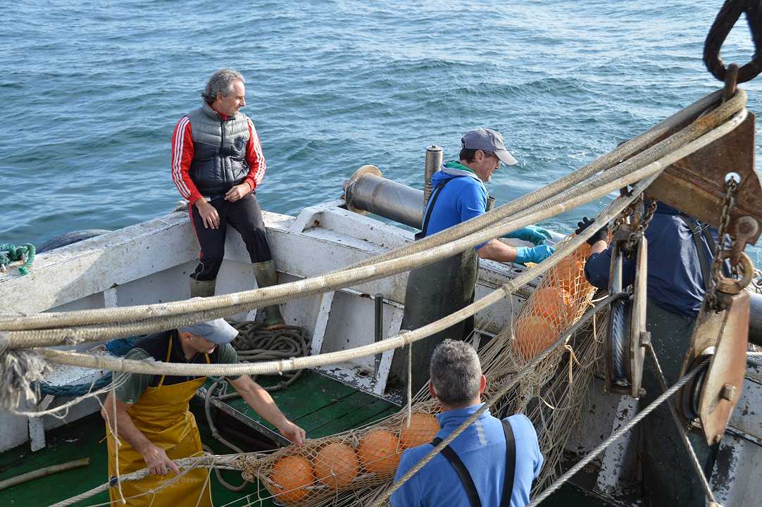 Pesca, sciopero pescherecci: quelli dell’Adriatico tornano in mare (quelli del Tirreno no)