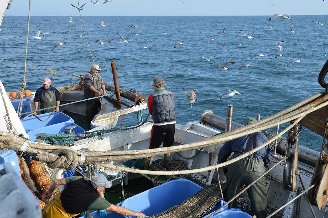 Pesca: lo stop dei pescatori di Napoli per il caro carburante mette a rischio il pesce fresco