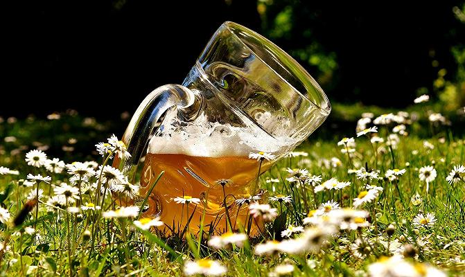 Siccità, tagli anche al raccolto di orzo per il malto da birra: -20%