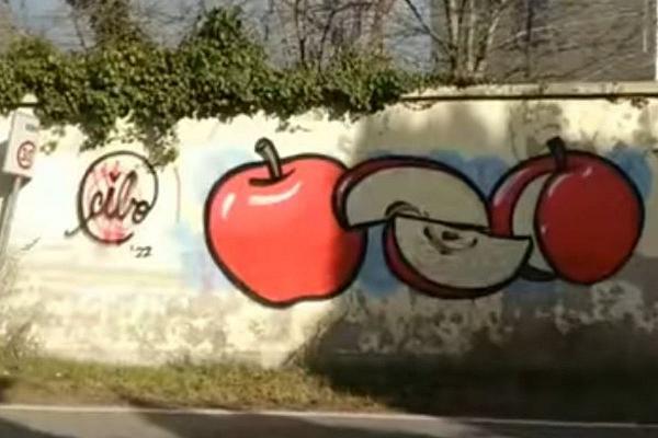 Verona, l’artista Cibo censura i graffiti dei No Vax