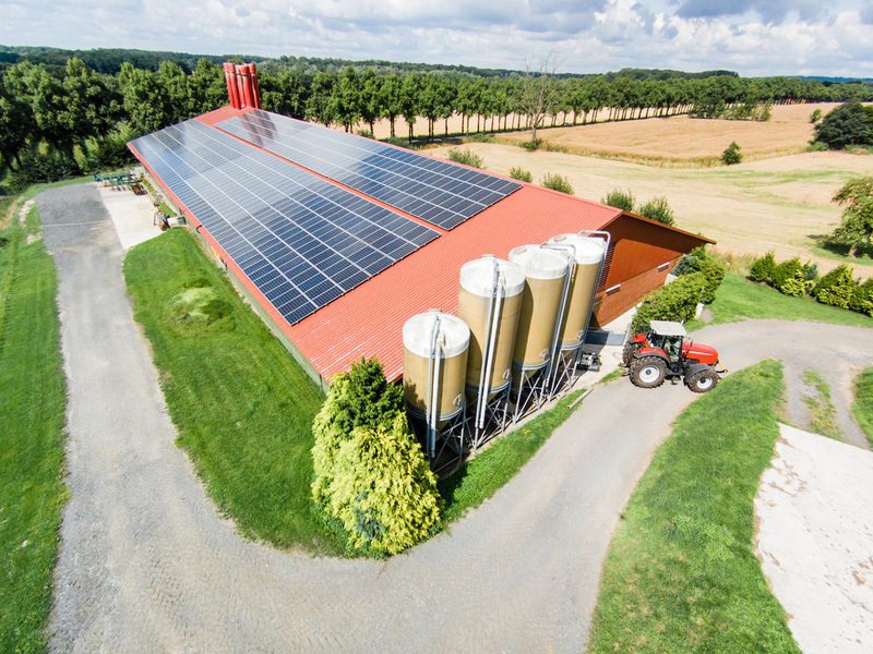 Rinnovabili: l’agricoltura contribuisce all’8,5% della produzione elettrica