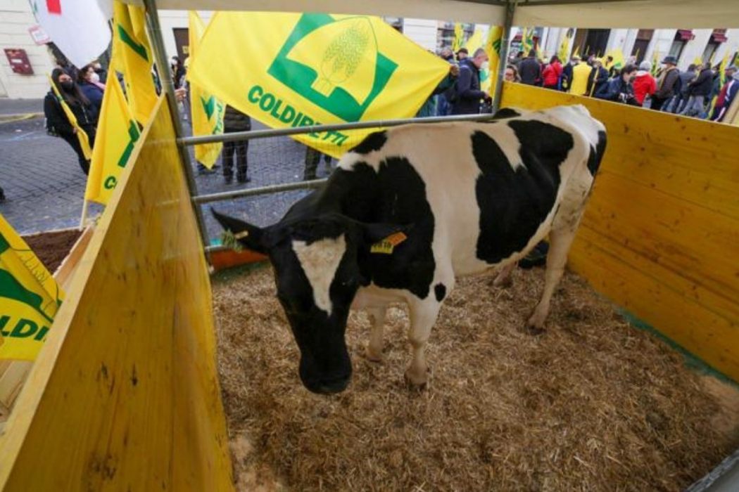 coldiretti agricoltura