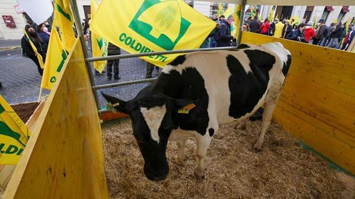 Agricoltura, Coldiretti scende in piazza per il caro bollette