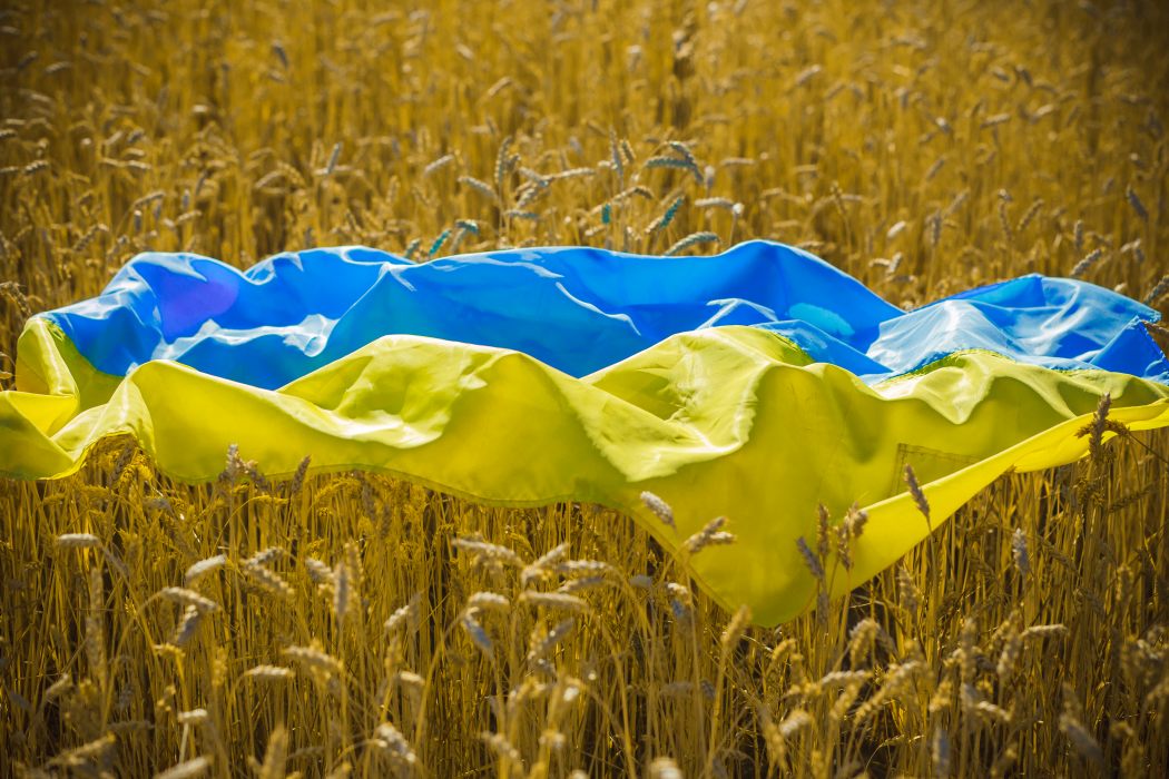 Ucraina; Grano
