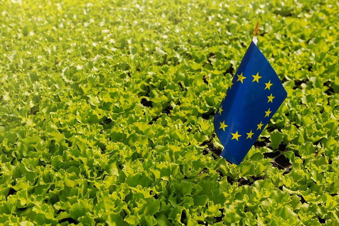 Ucraina, la UE potrebbe abbandonare la sostenibilità per produrre più cibo