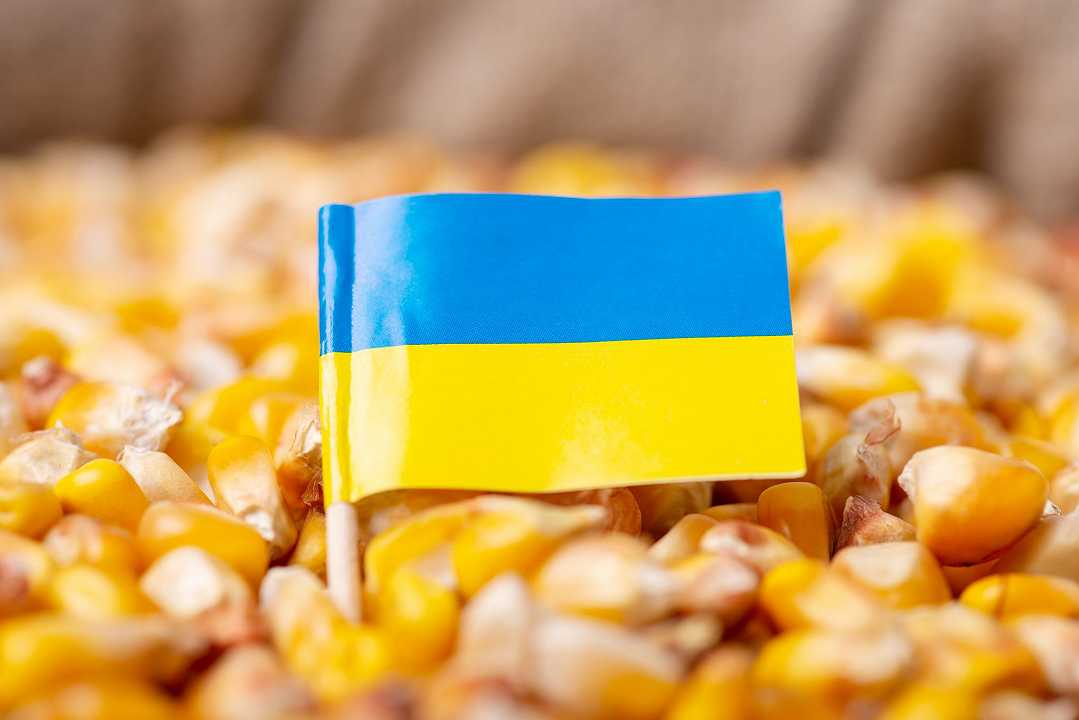 Ucraina, le esportazioni agricole dovrebbero raddoppiare nei prossimi mesi