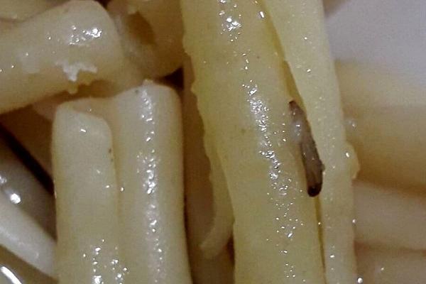 Torino, nella pasta della mensa scolastica c’è una larva: scatta lo sciopero