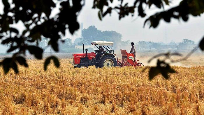 Agricoltura, morto un bracciante in provincia di Cuneo: indagato per omicidio il titolare