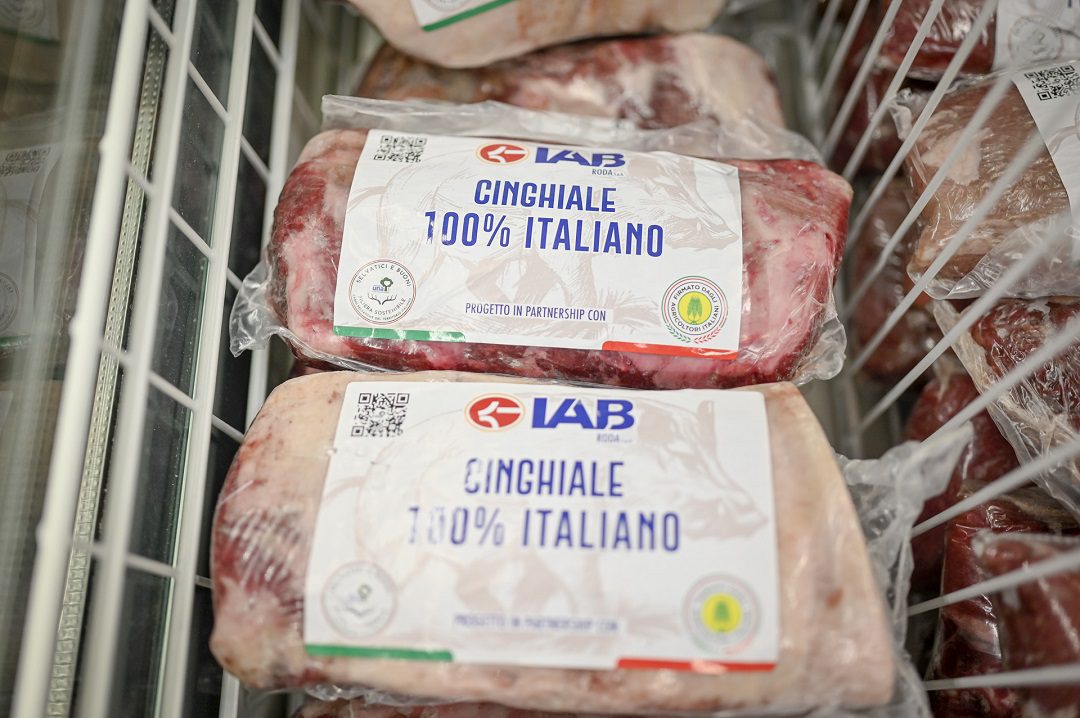 Carne di cinghiale (abbattuti per contenimento) nei supermercati METRO Italia