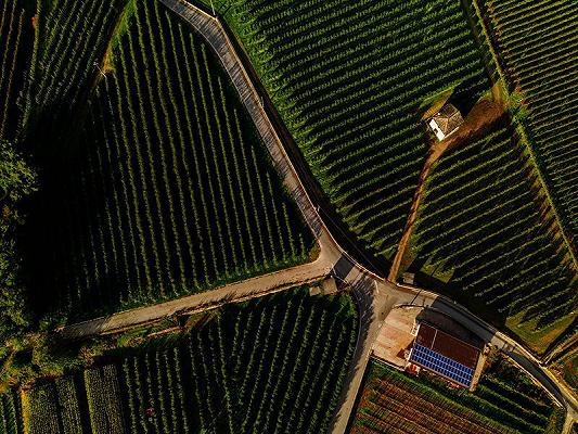 Il cibo è la prima ricchezza dell’Italia, vale un quarto del PIL