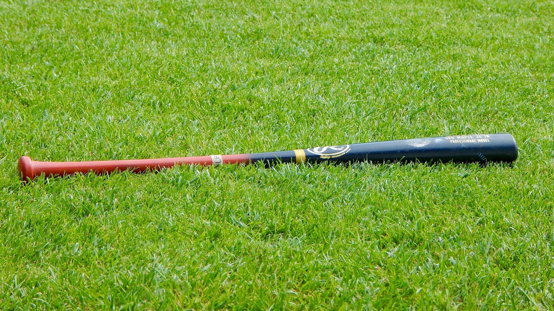 mazza baseball