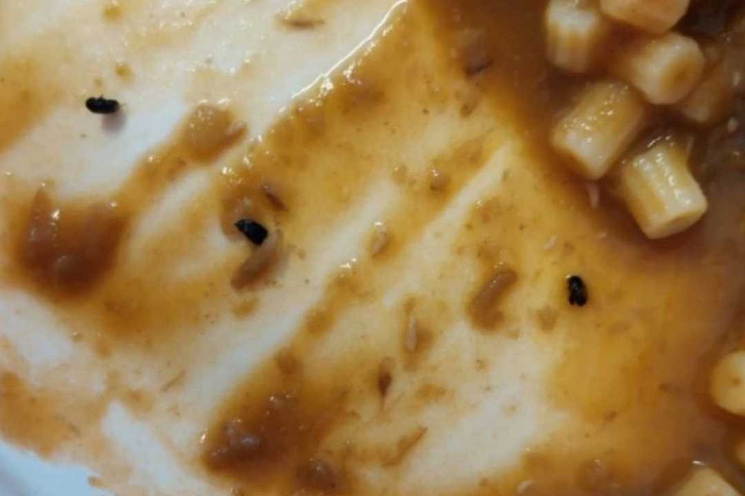 Napoli, insetti nei piatti della mensa scolastica: i genitori insorgono