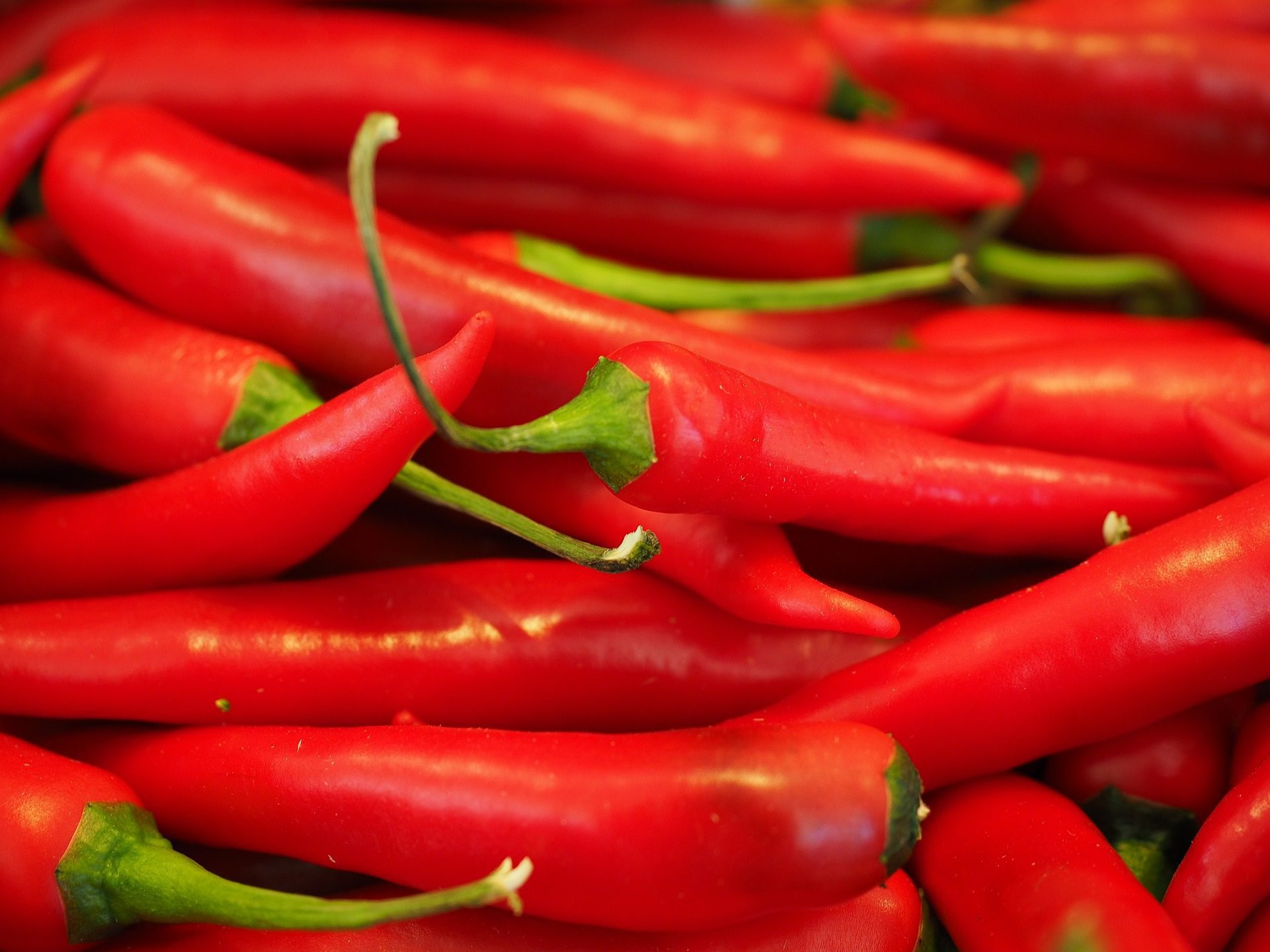 peperoncino rosso