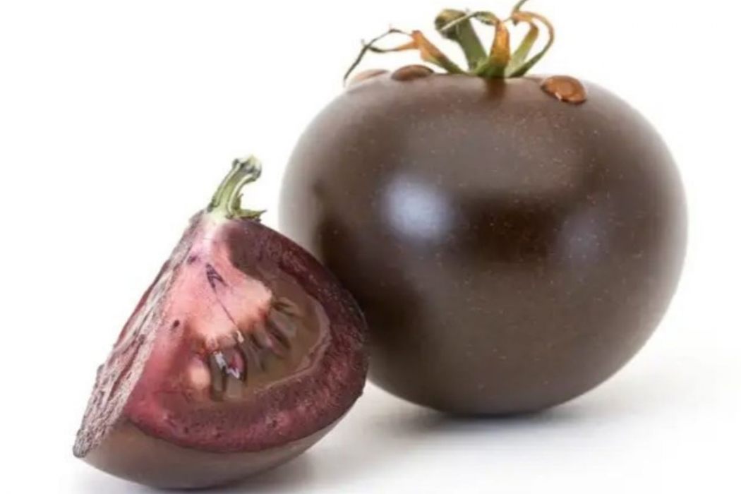 pomodoro viola
