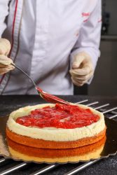 coulis di fragole versata sulla cheesecake