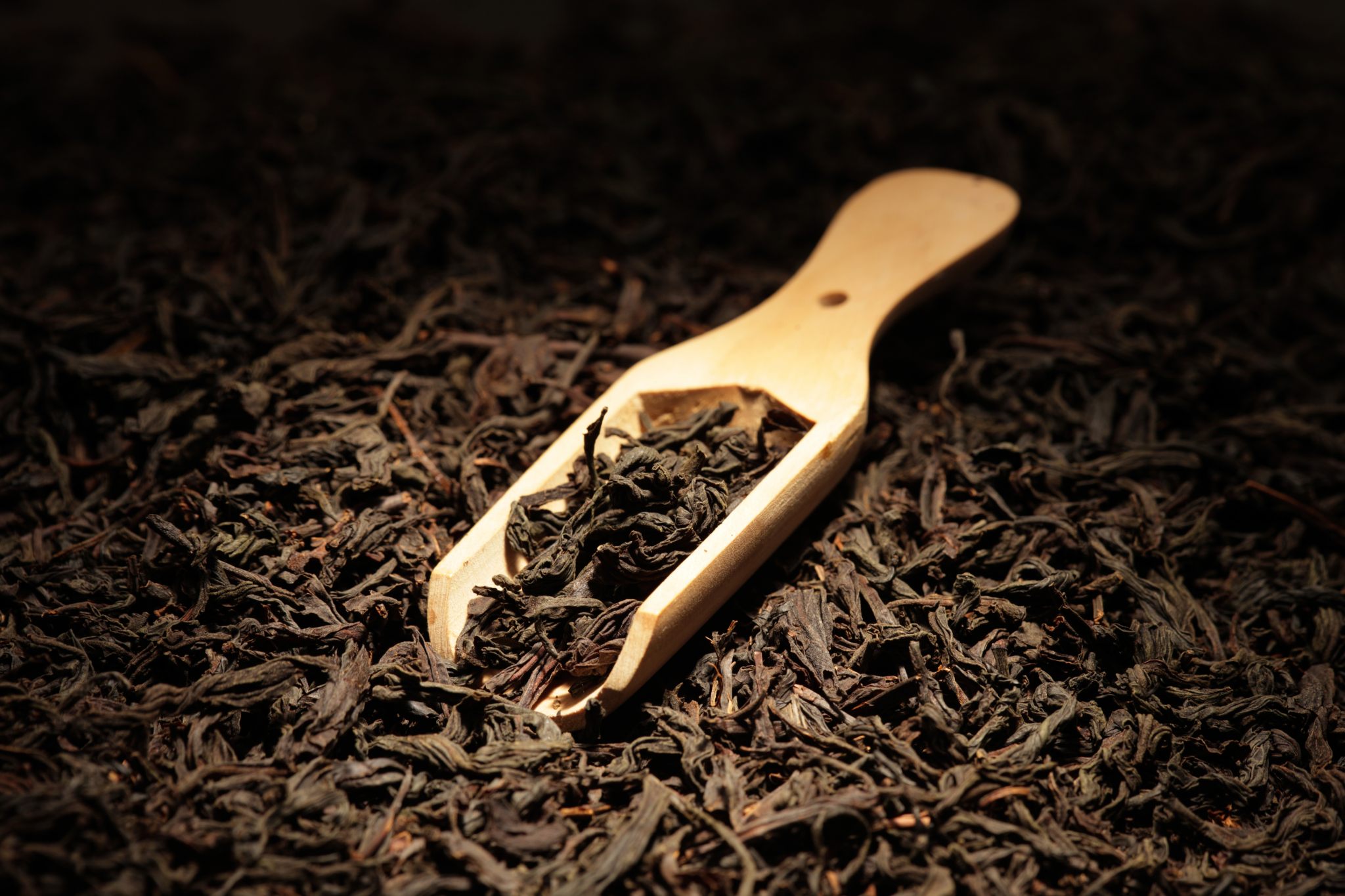 foglie di tè 