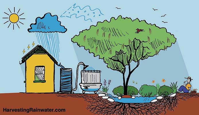 Siccità e agricoltura: cosa possiamo imparare dall’acqua (e da Lorenzo Costa de La Scoscesa)