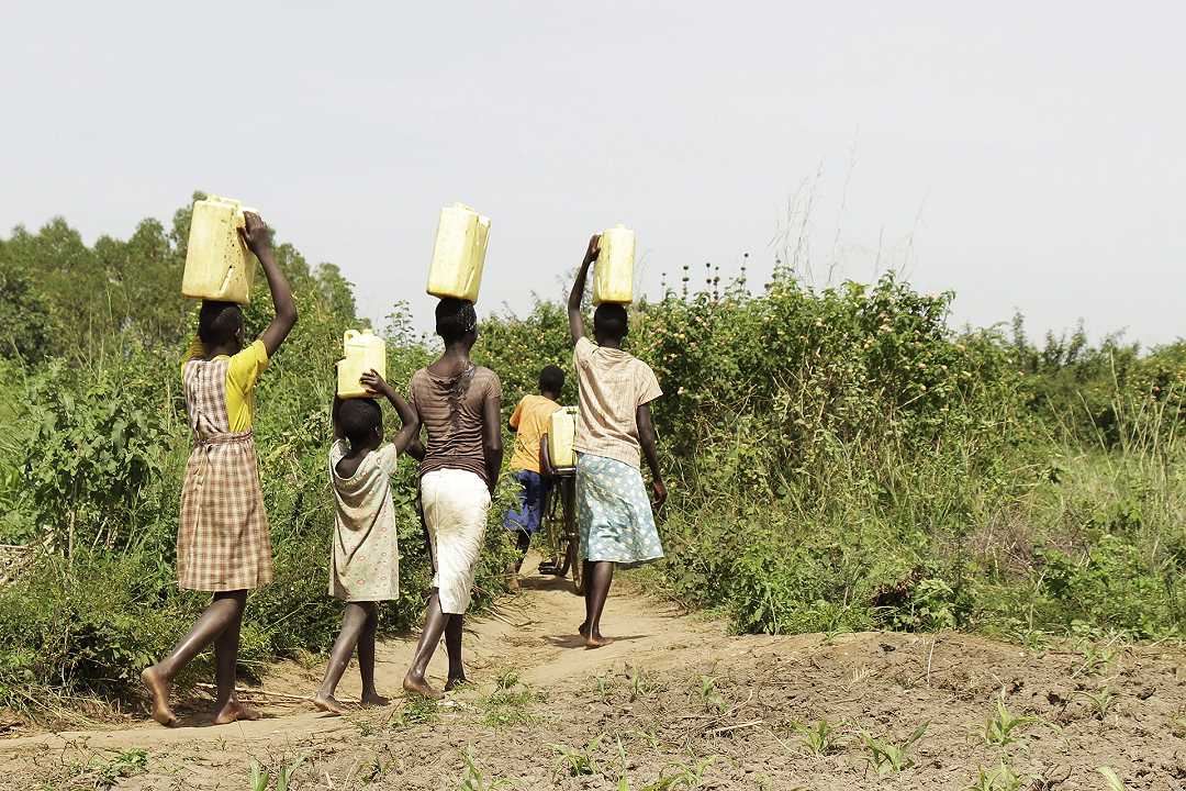 Uganda, il verme dell’esercito divora i raccolti: colpa dei cambiamenti climatici