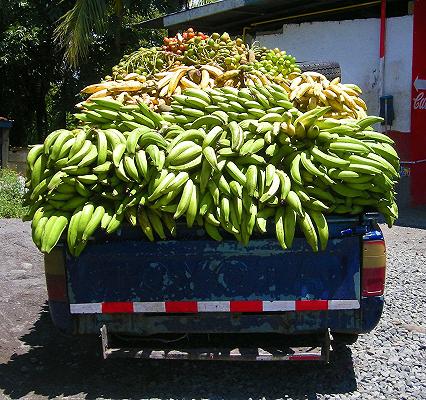 Texas: le proteste per la politica sull’immigrazione fanno marcire frutta e verdura sui camion