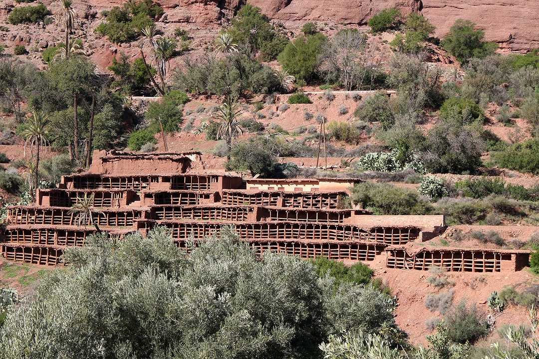 Marocco: il più antico alveare del mondo viene decimato dalla siccità