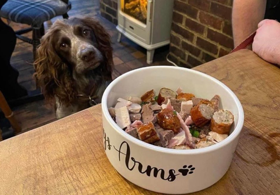 UK: pub propone il primo menu per cani (con tanto di kebab e curry)