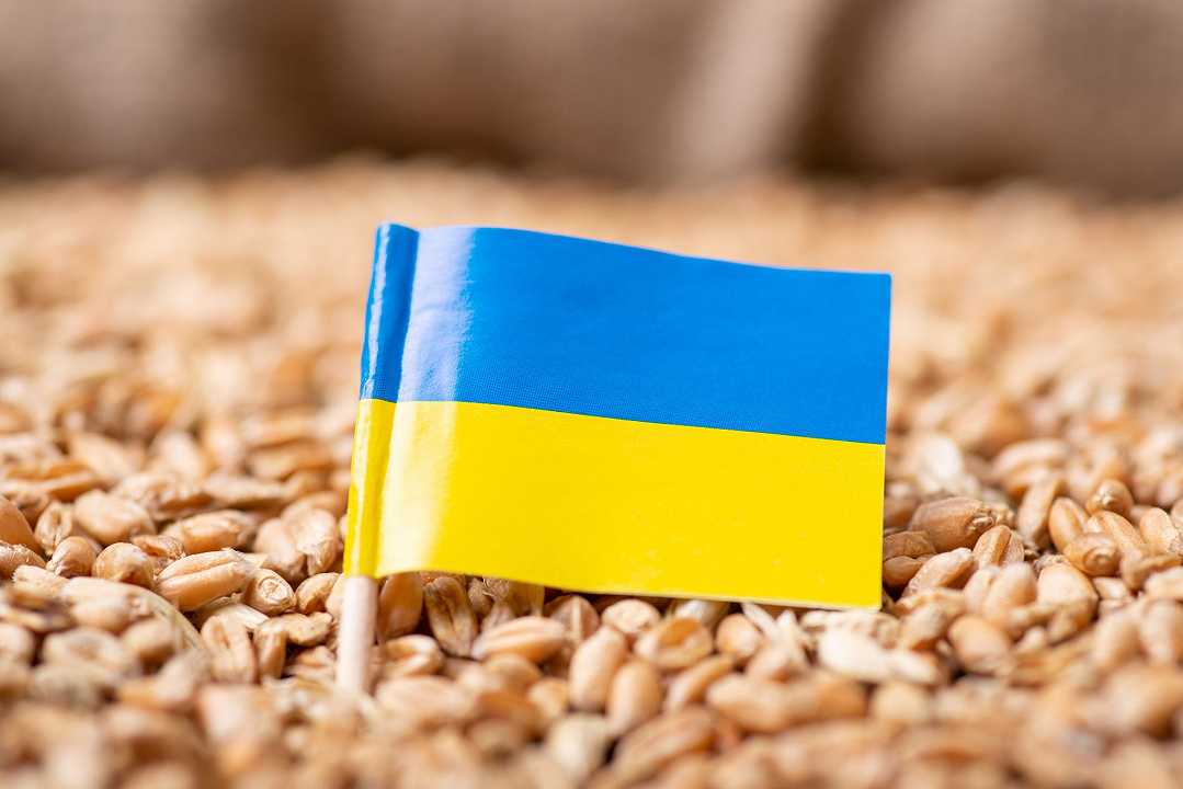 Ucraina: attivati due corridoi via terra per esportare il grano