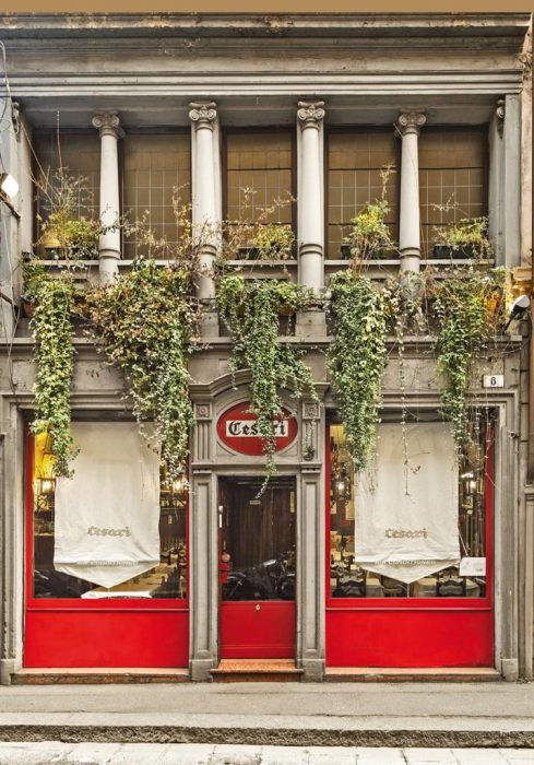 Cesari-ingresso