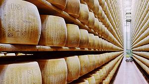 Il caldo sta sciogliendo il Parmigiano Reggiano