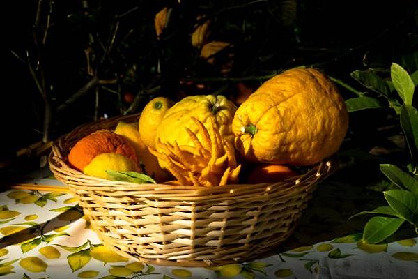 Tutte le differenze tra limone e cedro