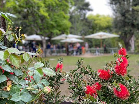 Bosco di Capodimonte: apre un nuovo ristorante napoletano dove nacque la pizza Margherita