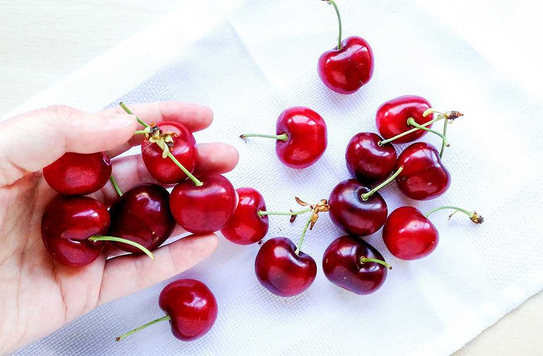 7 soluzioni per conservare le ciliegie più a lungo