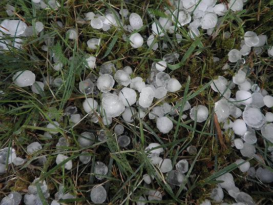 Firenze: olivi e vigneti danneggiati da 40 minuti di grandine